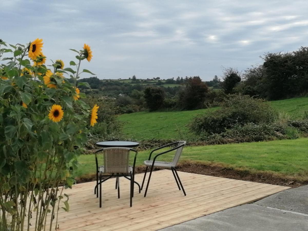 Radharc Na Greine Apartment Cork Luaran gambar